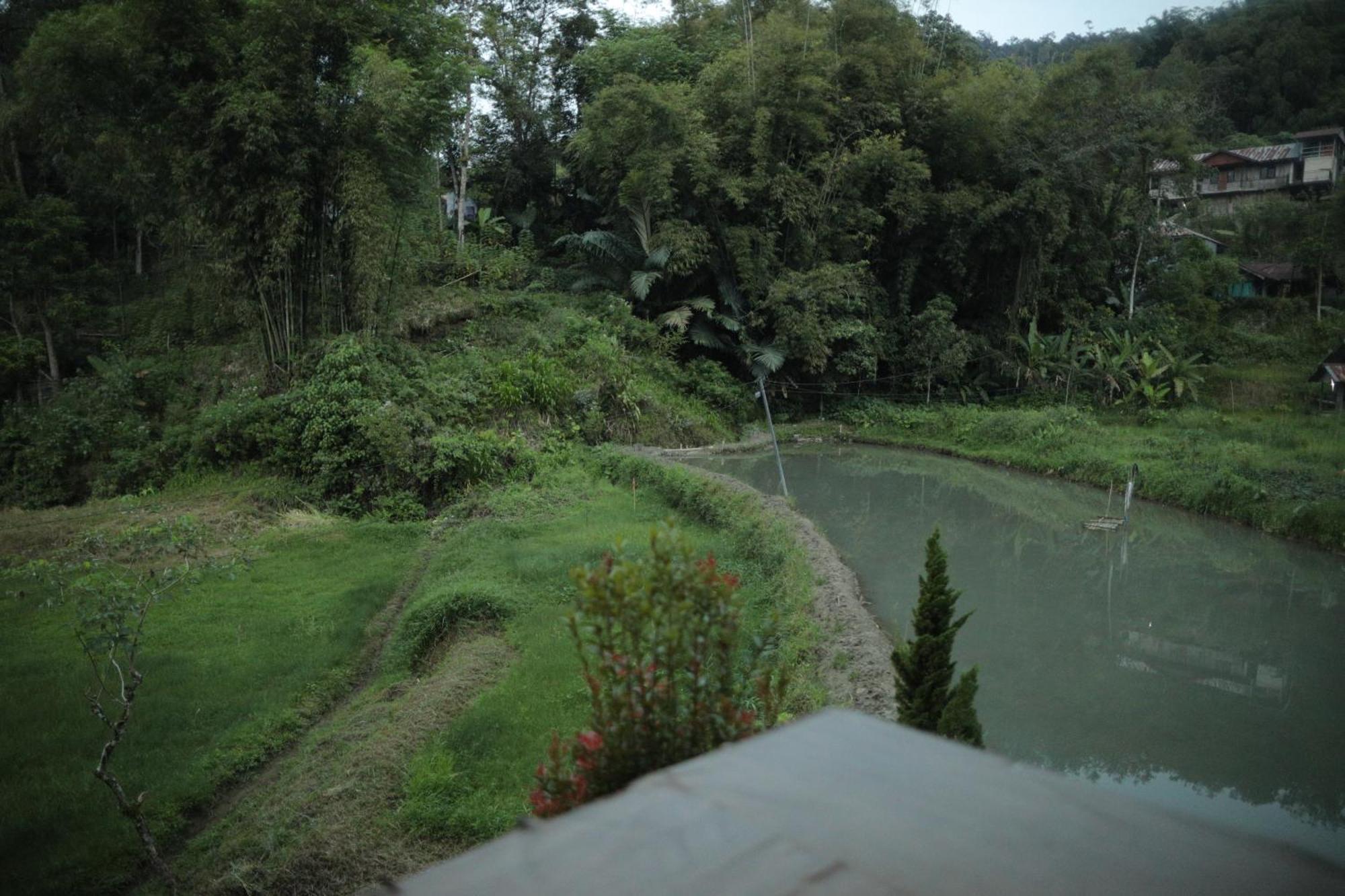 Mama Tia Family Homestay Rantepao Zewnętrze zdjęcie