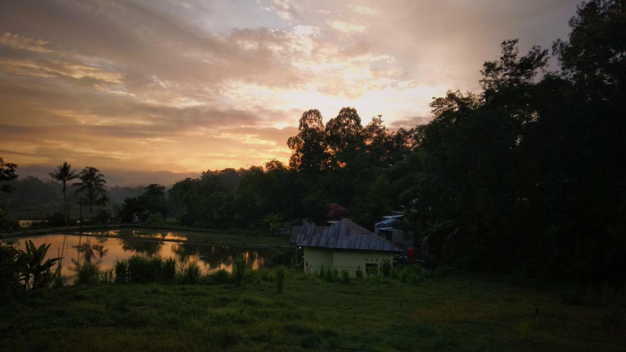 Mama Tia Family Homestay Rantepao Zewnętrze zdjęcie